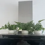 Neue Orchideen-apartments Im Haus * Bad Bergzabern