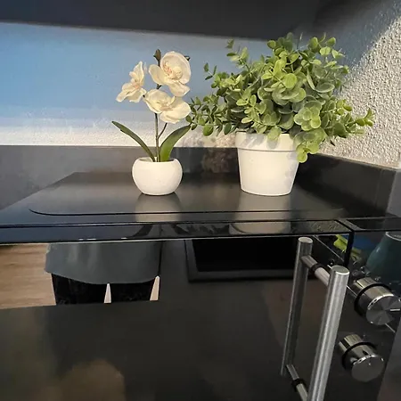 Neue Orchideen-apartments Im Haus