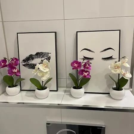 Neue Orchideen-apartments Im Haus