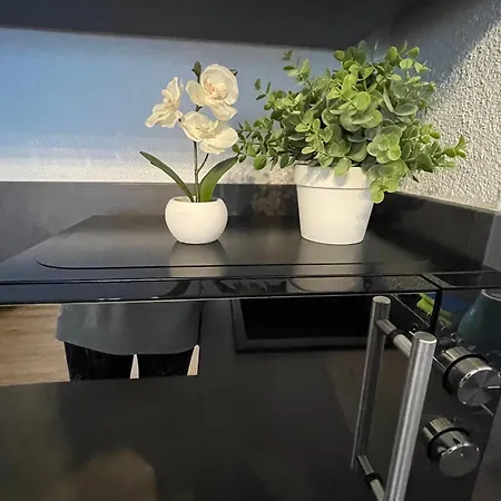 Neue Orchideen-apartments Im Haus