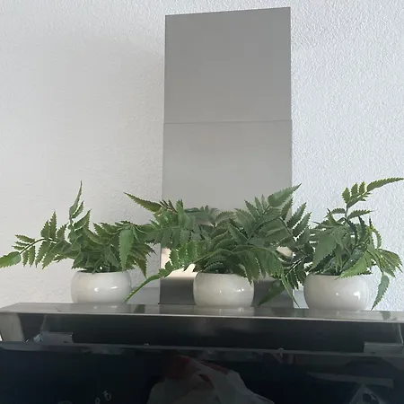 Neue Orchideen-apartments Im Haus * Bad Bergzabern