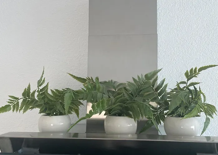 Neue Orchideen-apartments Im Haus