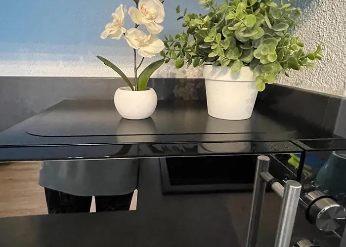 Neue Orchideen-apartments Im Haus