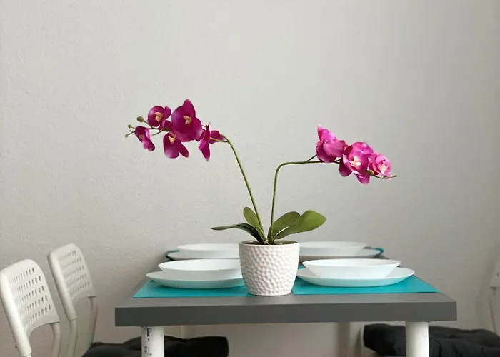 公寓 Neue Orchideen-apartments Im Haus 巴特贝格匝本